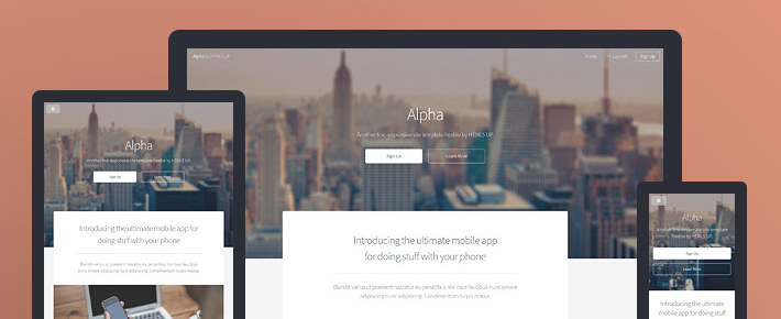 Preview of the Alpha website template showcasing a clean design.
