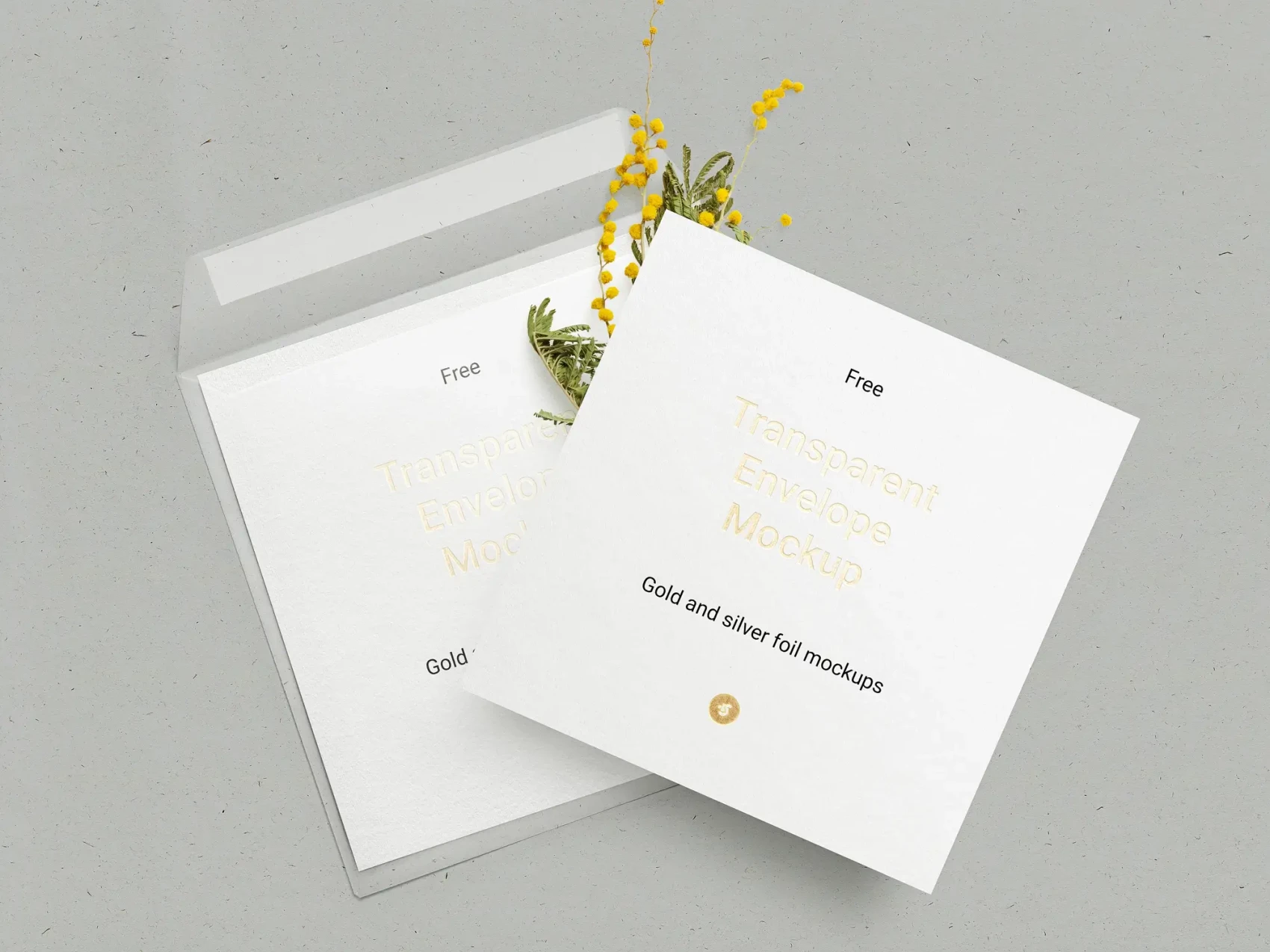Side view of the transparent envelope showcasing design