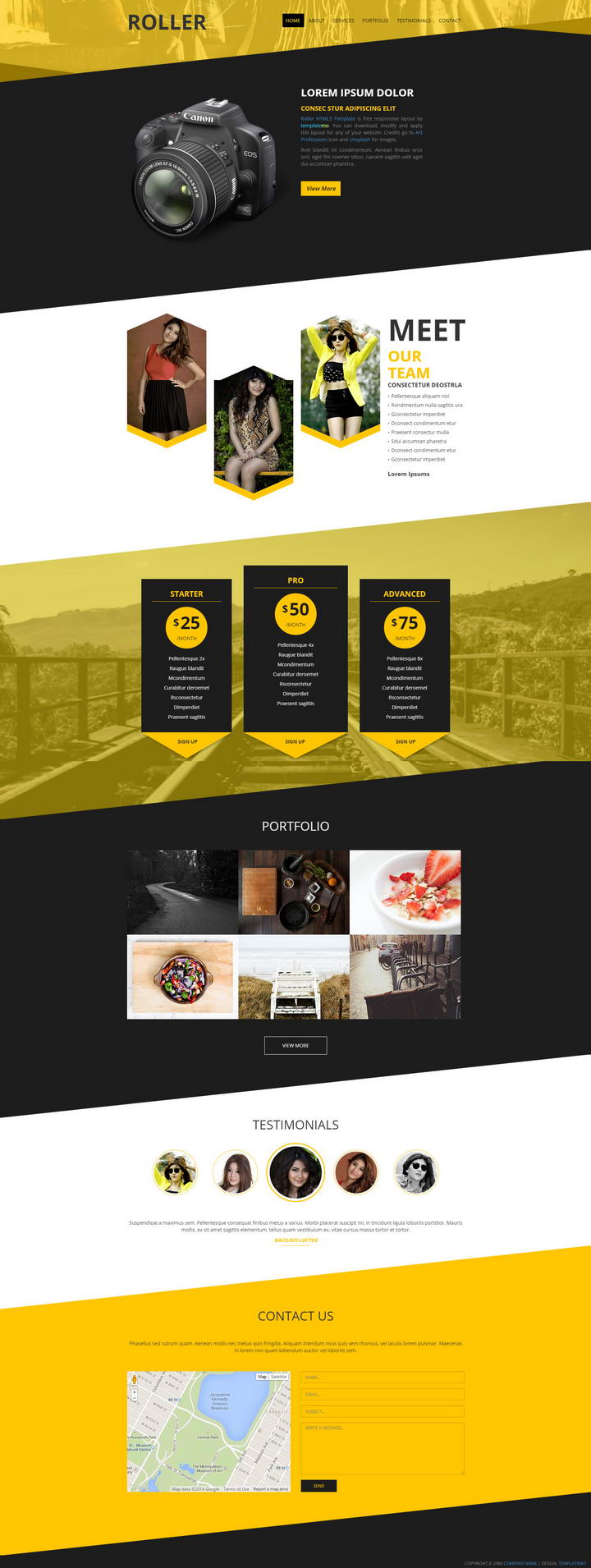 Roller Template portfolio section layout with pricing tables