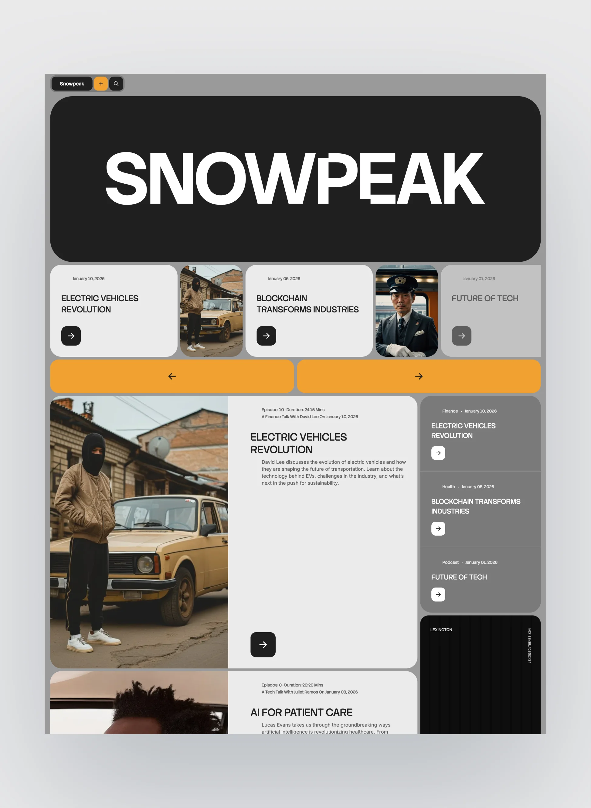 Clean article display with structured content in Snowpeak